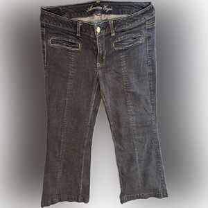 American Eagle Outfitters size 12 Hipster Dark Navy Cropped Jeans from 2011